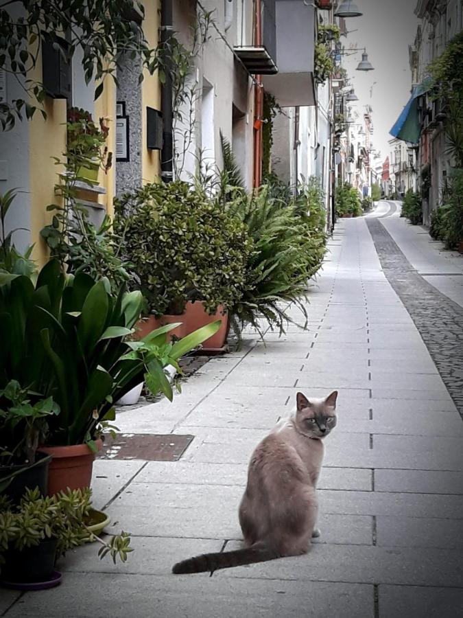 Via San Giacomo 10 칼리아리 외부 사진